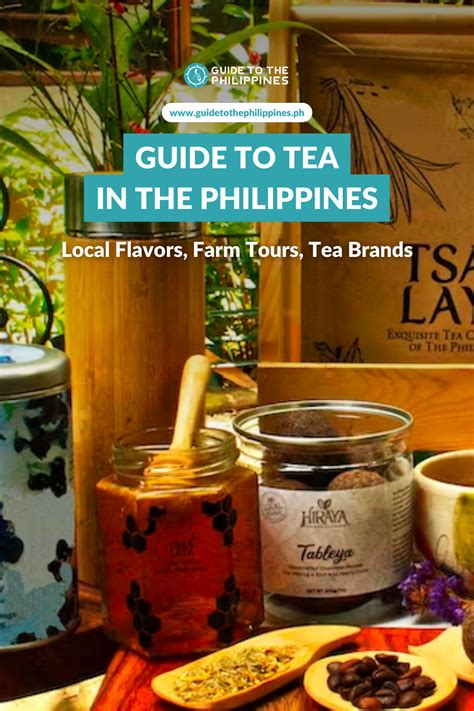 Guide to Tea in the Philippines: Local Flavors, Farm Tours, Tea Brands.